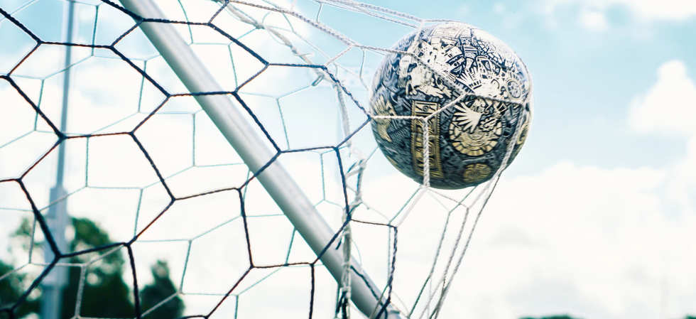 soccer ball in the net.