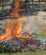 Lawn fire. handout photo from CFA.