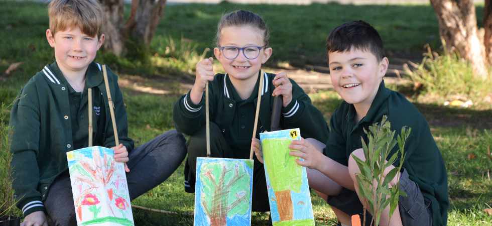 Schools Tree Day Riddells Creek