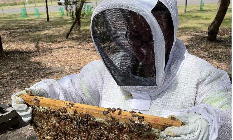 Sunbury-based charity Distinctive Options will close five of its social enterprises next month after recording significant financial losses, among them is a honey production operation.