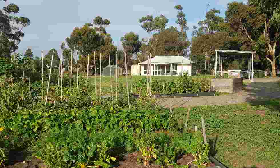 Sunbury Community Garden. Source / Facebook